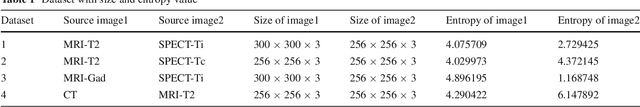 Figure 2 for Efficient DWT-based fusion techniques using genetic algorithm for optimal parameter estimation