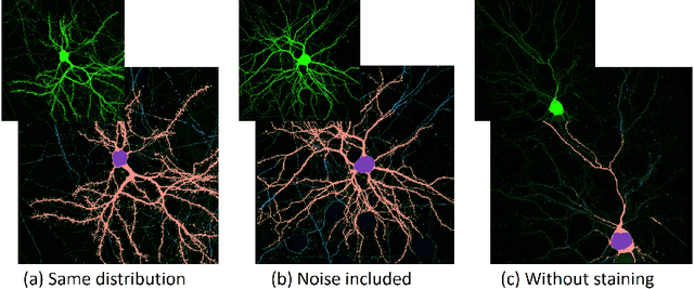 Figure 4 for MitoVis: A Visually-guided Interactive Intelligent System for Neuronal Mitochondria Analysis