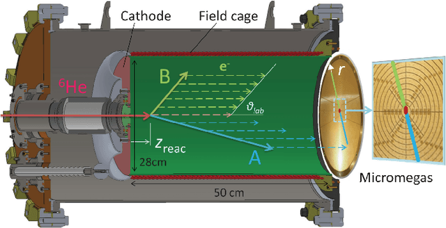 Figure 1 for Automatic trajectory recognition in Active Target Time Projection Chambers data by means of hierarchical clustering