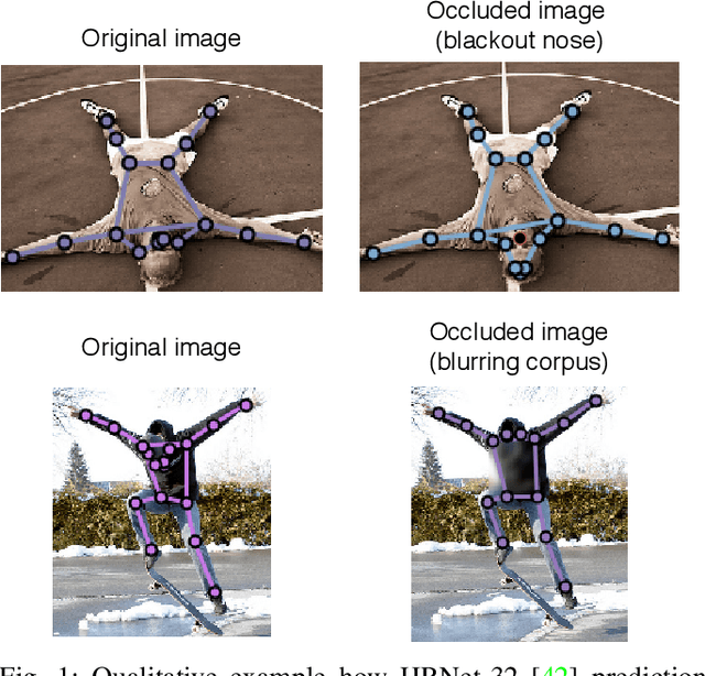 Figure 1 for Tilting at windmills: Data augmentation for deep pose estimation does not help with occlusions