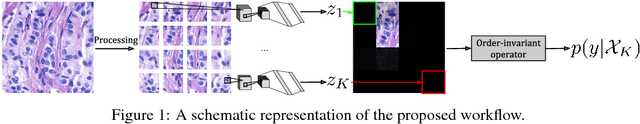 Figure 1 for Deep Learning with Permutation-invariant Operator for Multi-instance Histopathology Classification