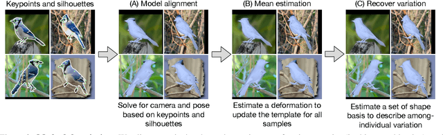 Figure 2 for Birds of a Feather: Capturing Avian Shape Models from Images