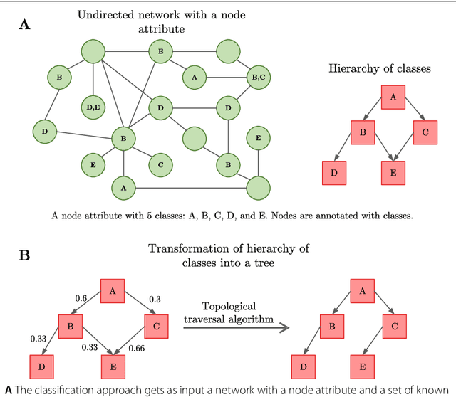 Figure 1 for A Top-down Supervised Learning Approach to Hierarchical Multi-label Classification in Networks