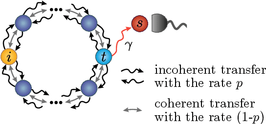 Figure 2 for Machine learning transfer efficiencies for noisy quantum walks