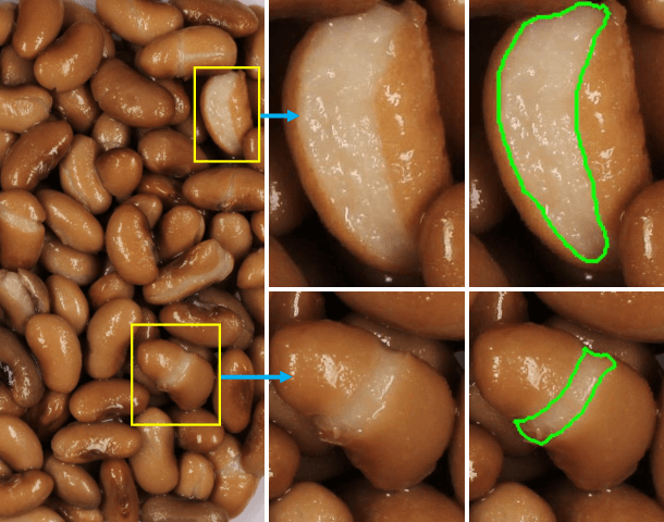 Figure 1 for Bean Split Ratio for Dry Bean Canning Quality and Variety Analysis
