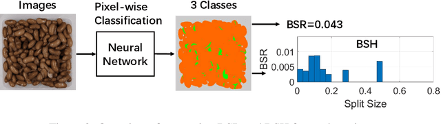 Figure 3 for Bean Split Ratio for Dry Bean Canning Quality and Variety Analysis