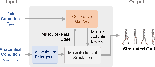 Figure 3 for Generative GaitNet