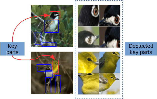 Figure 3 for Weakly Supervised Fine-Grained Image Categorization