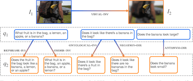 Figure 1 for CARETS: A Consistency And Robustness Evaluative Test Suite for VQA
