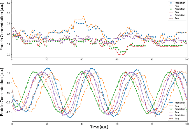 Figure 1 for Prediction of gene expression time series and structural analysis of gene regulatory networks using recurrent neural networks