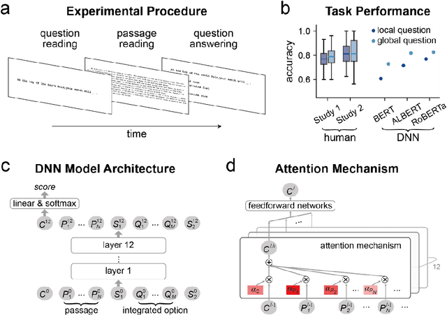 Figure 1 for Deep Neural Networks Evolve Human-like Attention Distribution during Reading Comprehension