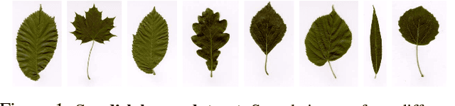 Figure 2 for A Framework for Shape Analysis via Hilbert Space Embedding