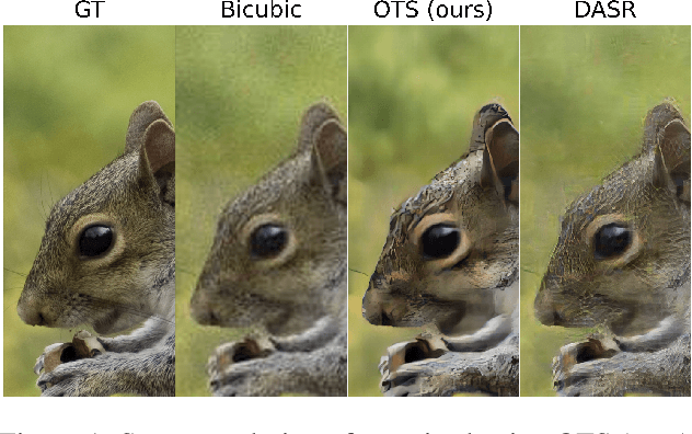 Figure 1 for Unpaired Image Super-Resolution with Optimal Transport Maps