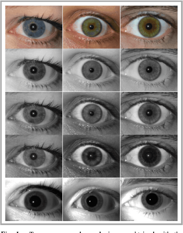 Figure 1 for Cross-spectral Iris Recognition for Mobile Applications using High-quality Color Images