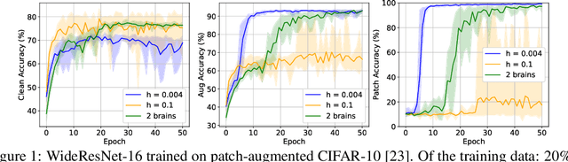 Figure 1 for Multirate Training of Neural Networks