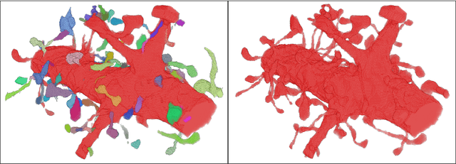 Figure 4 for RhoanaNet Pipeline: Dense Automatic Neural Annotation