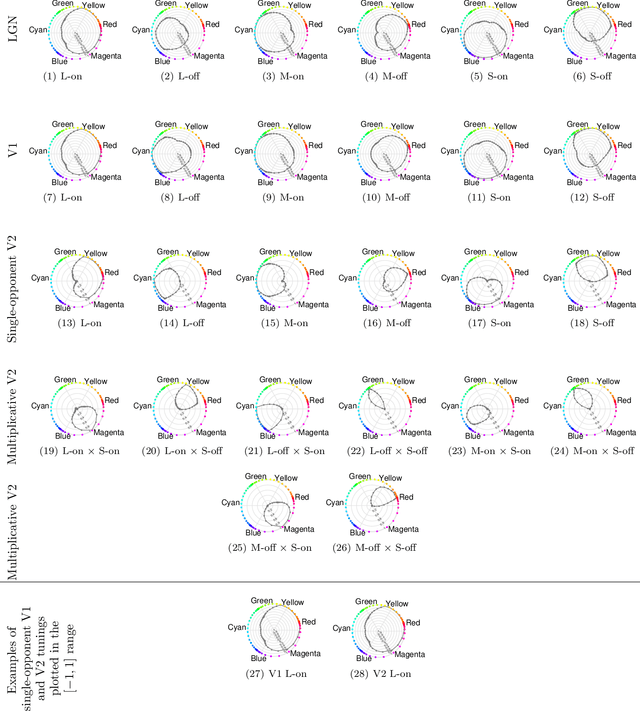 Figure 3 for Multiplicative modulations in hue-selective cells enhance unique hue representation