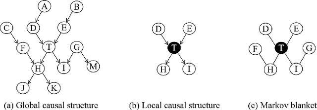 Figure 1 for Causal Learner: A Toolbox for Causal Structure and Markov Blanket Learning