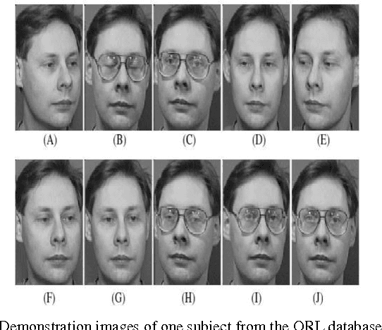 Figure 4 for Face Recognition using Hough Peaks extracted from the significant blocks of the Gradient Image