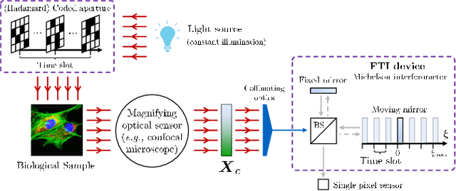 Figure 1 for Compressive Single-pixel Fourier Transform Imaging using Structured Illumination