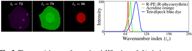 Figure 2 for Compressive Single-pixel Fourier Transform Imaging using Structured Illumination