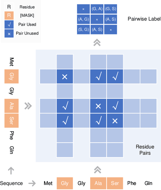 Figure 3 for Pre-training Co-evolutionary Protein Representation via A Pairwise Masked Language Model