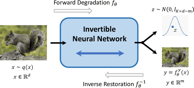 Figure 1 for Invertible Rescaling Network and Its Extensions