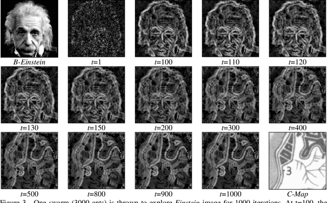 Figure 2 for Artificial Ant Colonies in Digital Image Habitats - A Mass Behaviour Effect Study on Pattern Recognition