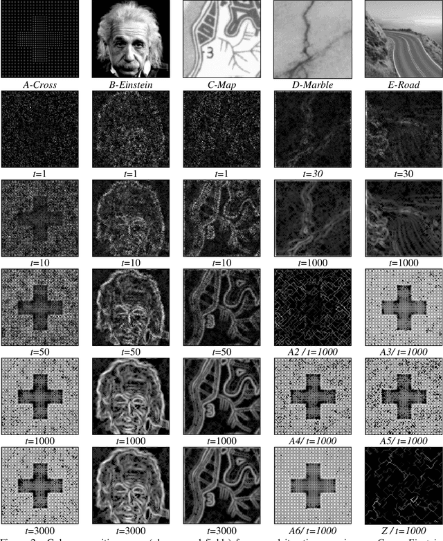 Figure 1 for Artificial Ant Colonies in Digital Image Habitats - A Mass Behaviour Effect Study on Pattern Recognition