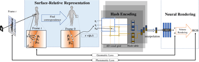 Figure 3 for SelfNeRF: Fast Training NeRF for Human from Monocular Self-rotating Video