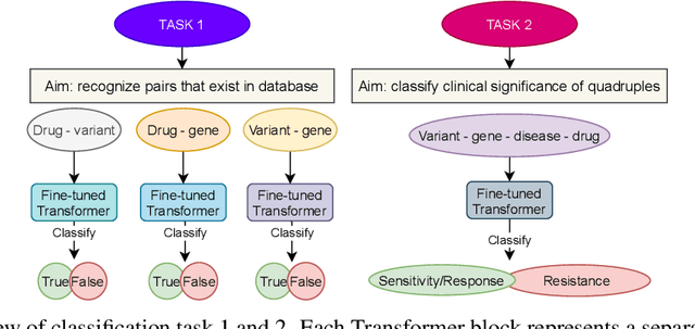 Figure 1 for Transformers and the representation of biomedical background knowledge