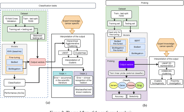 Figure 3 for Transformers and the representation of biomedical background knowledge