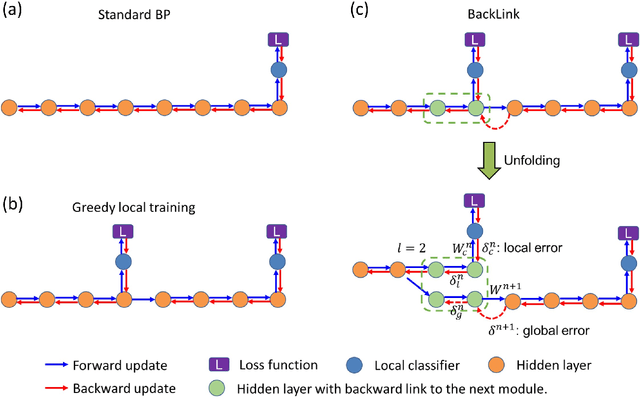 Figure 1 for BackLink: Supervised Local Training with Backward Links
