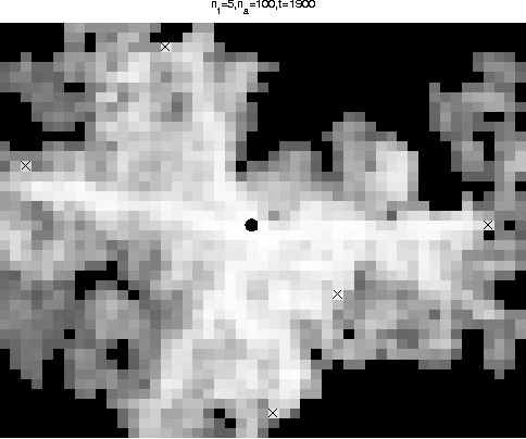 Figure 4 for Determining possible avenues of approach using ANTS
