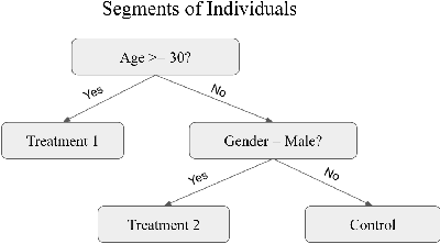 Figure 1 for Distilling Heterogeneity: From Explanations of Heterogeneous Treatment Effect Models to Interpretable Policies