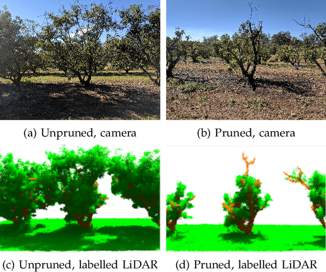 Figure 1 for A procedure for automated tree pruning suggestion using LiDAR scans of fruit trees
