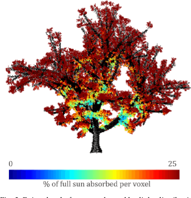 Figure 2 for A procedure for automated tree pruning suggestion using LiDAR scans of fruit trees