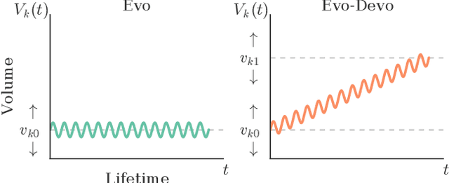 Figure 2 for A Minimal Developmental Model Can Increase Evolvability in Soft Robots