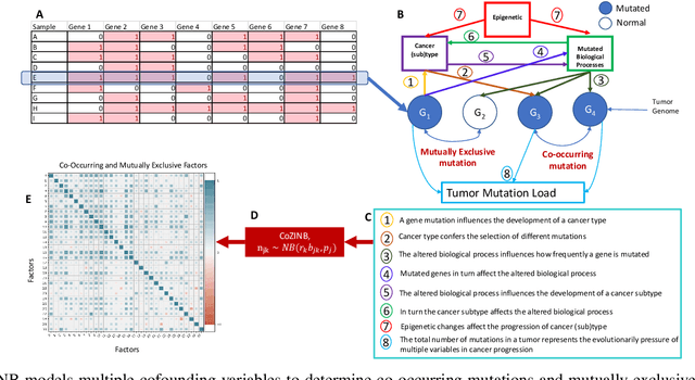 Figure 1 for Correlated Mixed Membership Modeling of Somatic Mutations