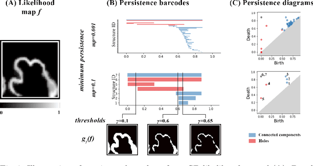 Figure 4 for Multi-dimensional topological loss for cortical plate segmentation in fetal brain MRI