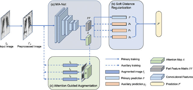 Figure 1 for Multiscale Attention Guided Network for COVID-19 Detection Using Chest X-ray Images