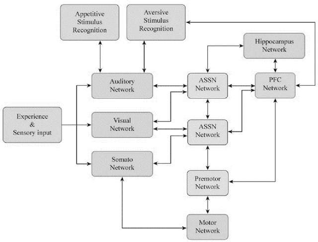 Figure 1 for Artificial Intelligence Software Structured to Simulate Human Working Memory, Mental Imagery, and Mental Continuity