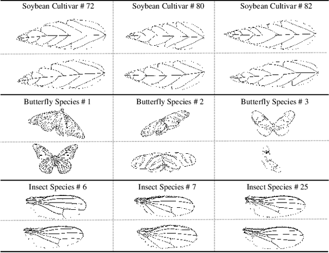 Figure 1 for Patchy Image Structure Classification Using Multi-Orientation Region Transform