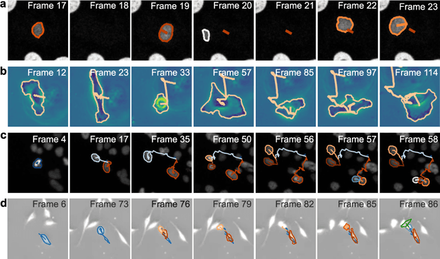 Figure 3 for Geometric deep learning reveals the spatiotemporal fingerprint of microscopic motion