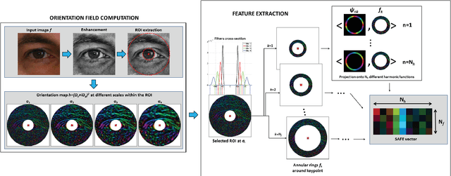 Figure 2 for Compact multi-scale periocular recognition using SAFE features