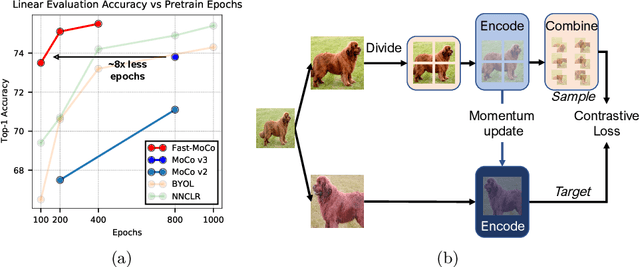 Figure 1 for Fast-MoCo: Boost Momentum-based Contrastive Learning with Combinatorial Patches