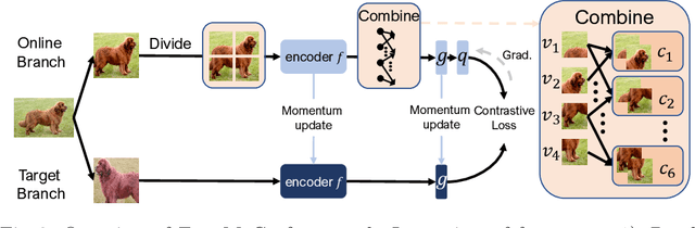 Figure 3 for Fast-MoCo: Boost Momentum-based Contrastive Learning with Combinatorial Patches