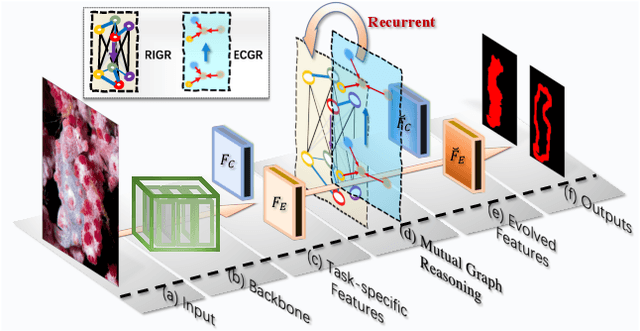 Figure 1 for Mutual Graph Learning for Camouflaged Object Detection