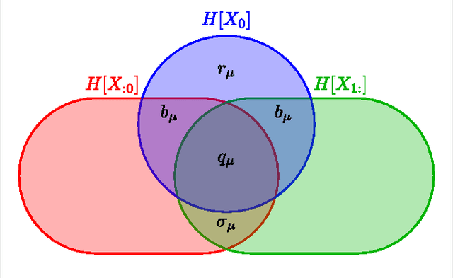 Figure 1 for Time Resolution Dependence of Information Measures for Spiking Neurons: Atoms, Scaling, and Universality