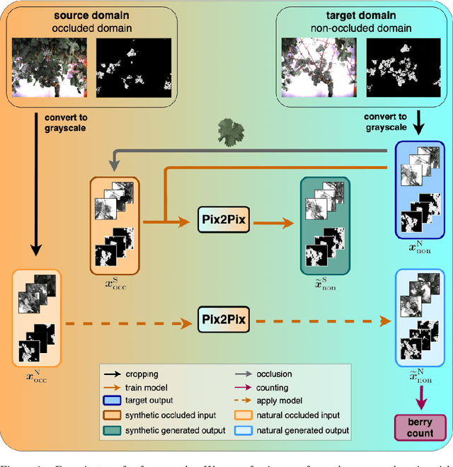 Figure 1 for Behind the leaves -- Estimation of occluded grapevine berries with conditional generative adversarial networks